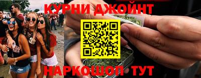шишки Изобильный